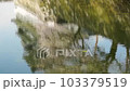 桜 103379519