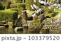 桜 103379520