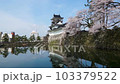 桜 103379522