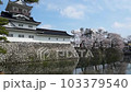 桜 103379540