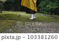 Back view of a monk walking in a Japanese garden 103381260