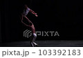 Aerial straps duo with white costume on black stage background performing and flying high 103392183