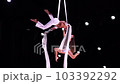 Aerial silk duo in white costumes on black background performing in slow motion. Concept of desire, attraction and relationship 103392292