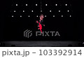 Aerial hoop duo on black background doing performance. Concept of romantic relationship in couple  103392914