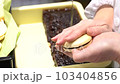Japanese confectionery craftsman stuffing bean paste in monaka 103404856