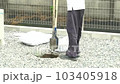 digging equipment, shovel, mining 103405918