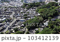 識名園，從上面看，沖繩的墓地 2 103412139