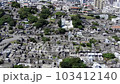 從上空俯瞰沖繩的墓地識名園① 103412140