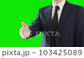 握手を求めるビジネスパーソン。スーツを着用。セレクティブフォーカス。グリーンバック。 103425089