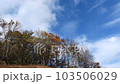 標高800メートル 秋の山頂の空 103506029