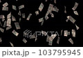下降新版 5000 日元紙幣-黑背 103795945