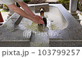 女性が手を洗う手水舎 103799257
