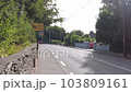 Road in Ireland with traffic sign Caution children crossing 103809161