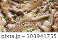 Boiling stewed chicken feet soup, chinese style, Top view  103941755