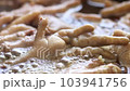 Boiling stewed chicken feet soup , chinese style, Close up  103941756
