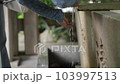 祈禱前洗手的女人 103997513