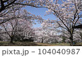 櫻花盛開的城山【香川縣丸龜市中多戶郡滿濃町】 104040987