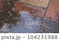 水たまりに降る雨 104231988