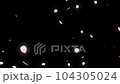 Anime loop with falling cherry blossom petals 104305024