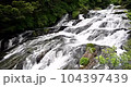 川の流れ 104397439