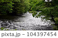 川の流れ 104397454