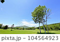 Blue sky and ranch cow dairy cow 104564923