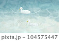 Ducks swimming on clear water 104575447
