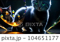 ファンタジービーストと次元超越（子猫編） 104651177