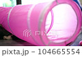 Persian cats or cute cat playing tunnel toy for funny time 104665554