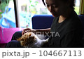 cleaning eye cat with eye wipes 104667113