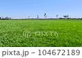 風が吹いている田園風景 104672189