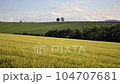 Biei wheat field and parent and child tree 104707681