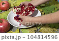 Female hands break a ripe red pomegranate over a white plate on a table with yellow autumn leaves 104814596