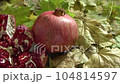 Two fresh ripe pomegranates and one cut on yellow autumn leaves 104814597