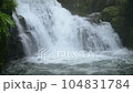 渓谷に流れる小さな滝 104831784
