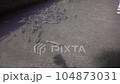 釣り堀の中のニジマスと鮎 104873031
