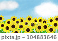 向日葵背景 104883646