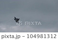US Airforce F-35 stealth fighter jet during high speed flight and manoeuvres 104981312