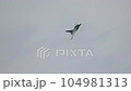 Dassault Rafale fighter jet preforming high speed manoeuvres showing its abilities 104981313