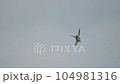 Dassault Rafale fighter jet preforming high speed manoeuvres showing its abilities 104981316