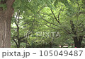 靖国神社 境内の緑 105049487