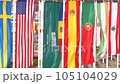 Flags of many countries waving in the wind 105104029