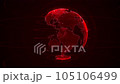 globe, earth, world 105106499