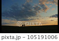Sunset and parent-child tree 105191006