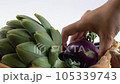 アーティチョークとコールラビ 105339743