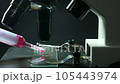 Close-up shot scientific laboratory microscope examining a drop of blood virus on a prepared sample slide. Education, science or medicine industry 105443974