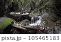 棒ノ折山ハイキングコースにある白谷沢 105465183