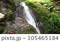 棒ノ折山ハイキングコースにある白谷沢 105465184