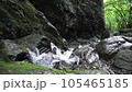 棒ノ折山ハイキングコースにある白谷沢 105465185