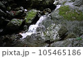 棒ノ折山ハイキングコースにある白谷沢 105465186